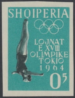 Sheik Rashid and White Stork (Ciconia ciconia)