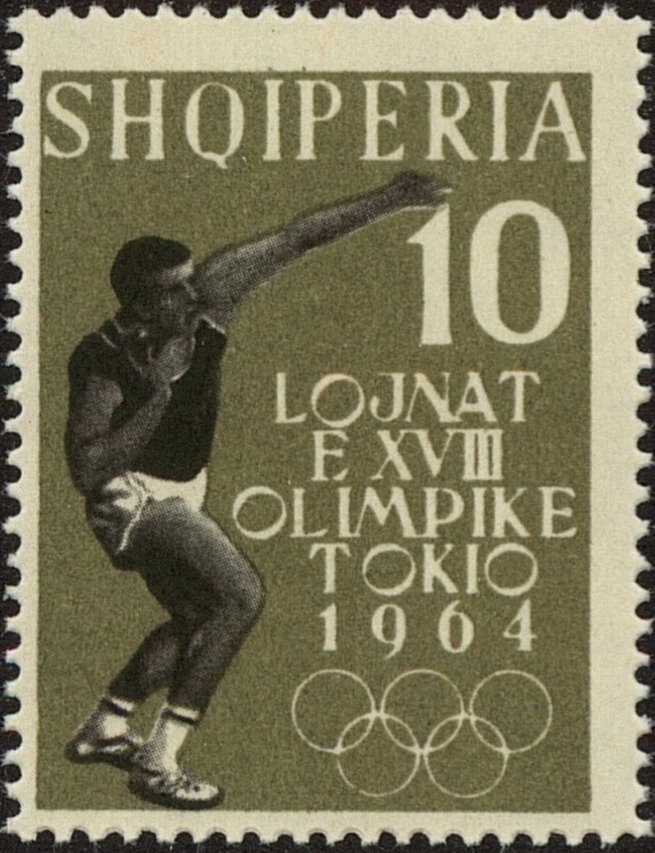 Common Whelk (Buccinum undatum)