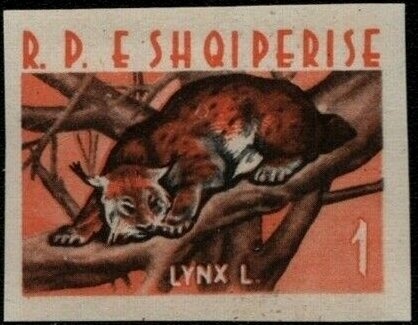 Hans Winkler - Show jumping