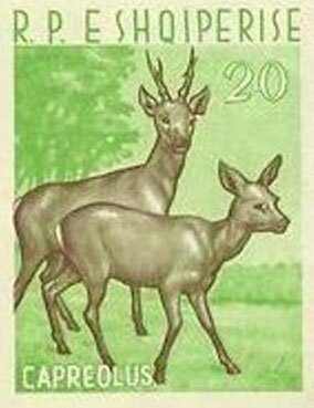 Globe, Sputnik 1 in orbit