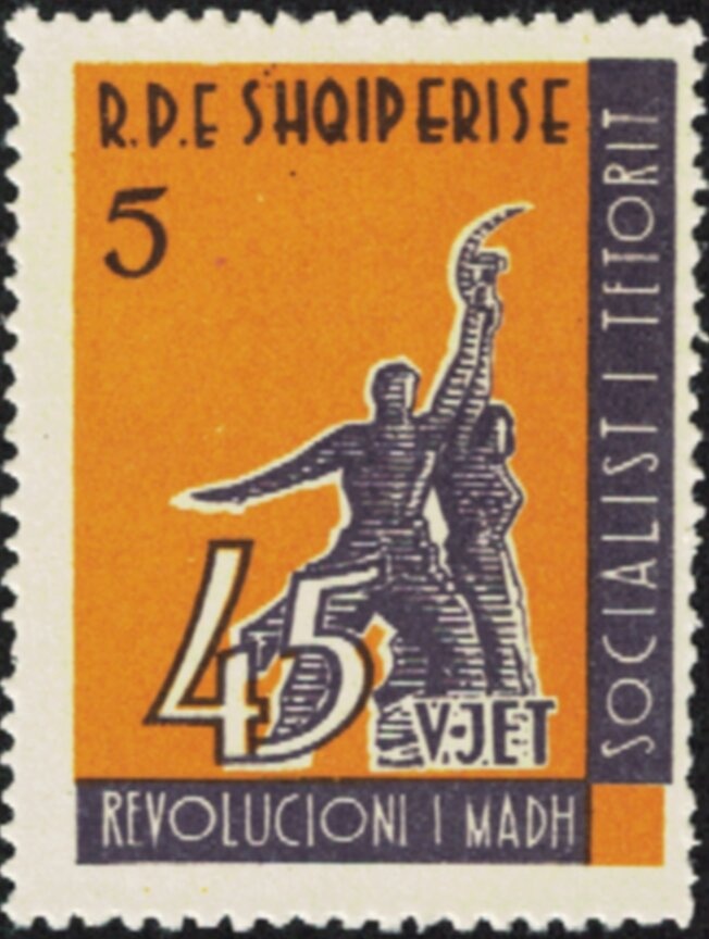 Eider Duck (Somateria mollissima)