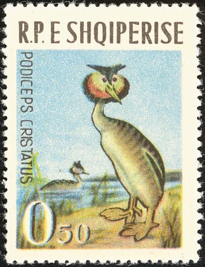 ‭Skanderbeg (George Castriota)