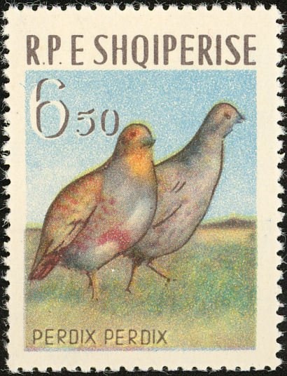 Proclamation of the Republic