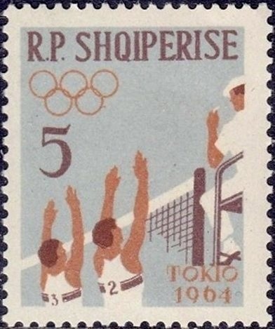 Canada goose (Branta canadensis)