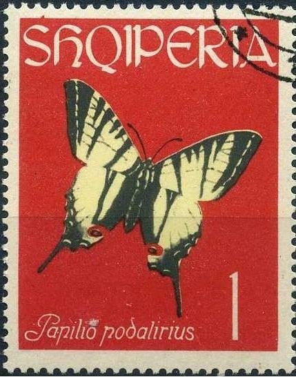 ‭Albanian citizen, Spasski tower, Kremlin and inscription