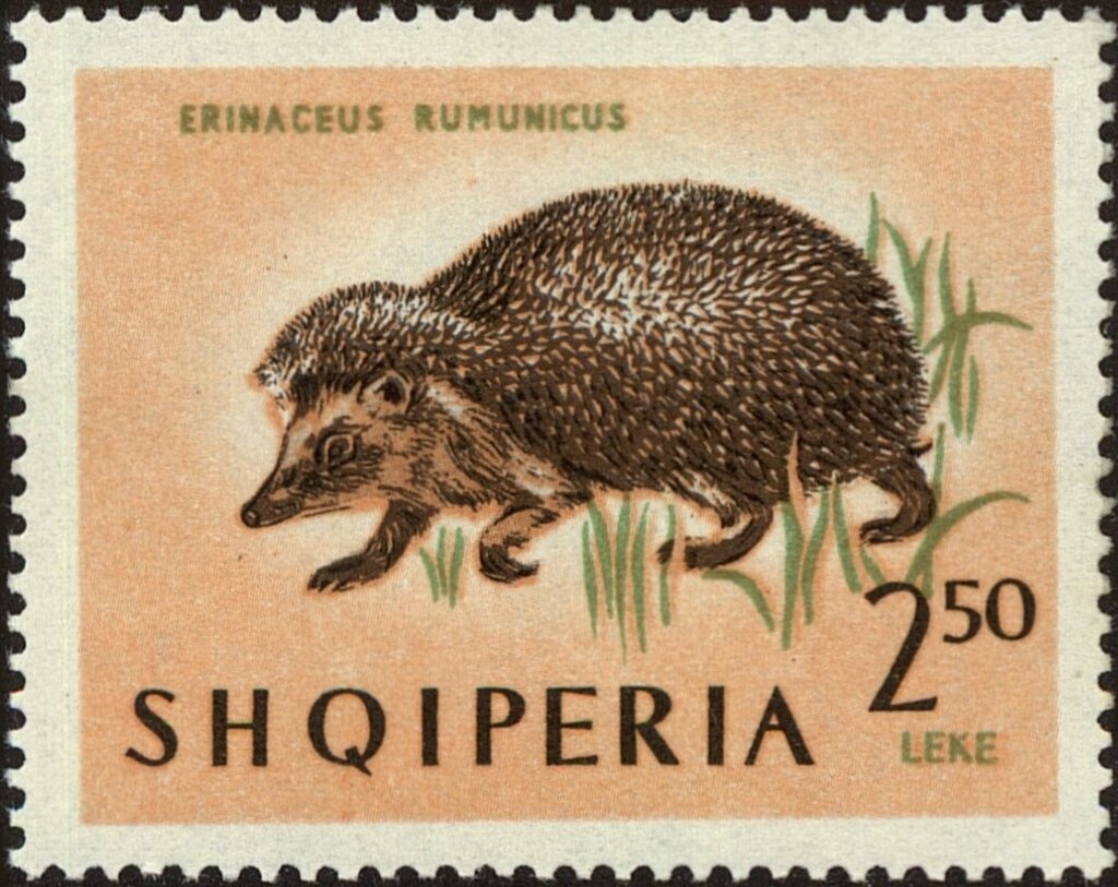 ‭President Ahmed Zogu