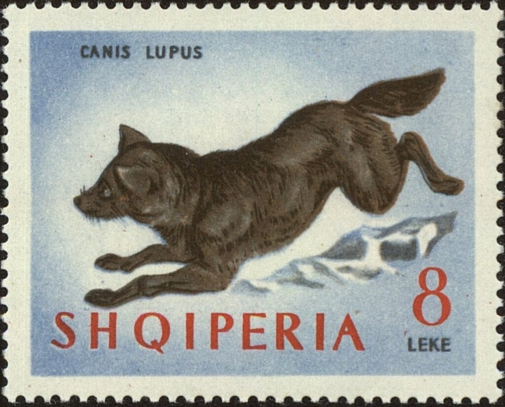 Vaulted gallery, amphitheater at Epidamnos