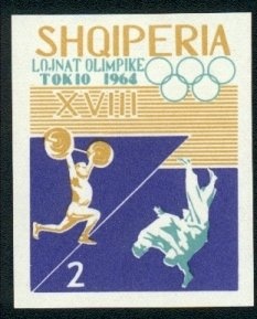 Sheik Rashid and Dromedary (Camelus dromedarius)