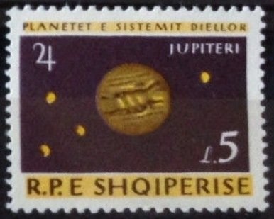 Young Bornean Orangutan (Pongo pygmaeus)