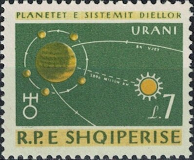 Cinnamon teal (Anas cyanoptera)