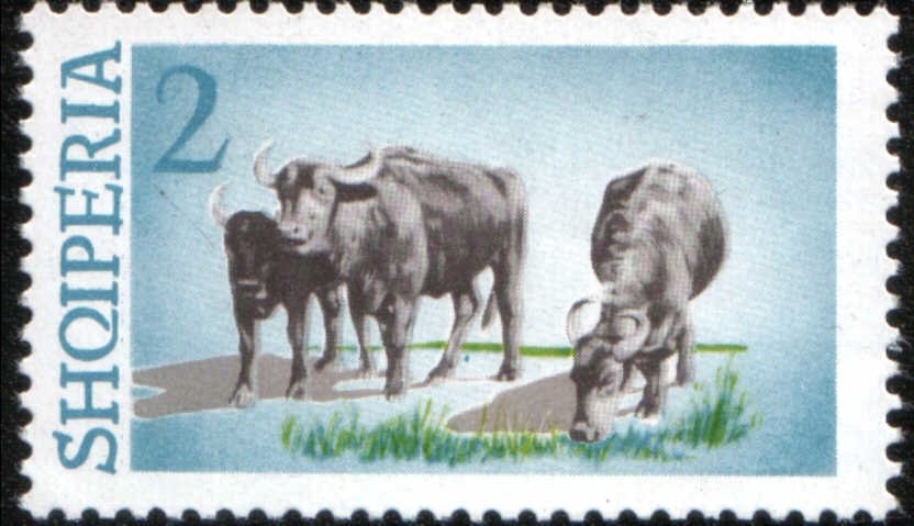 Codex Aureus (11th cent.), Illuminated manuscript