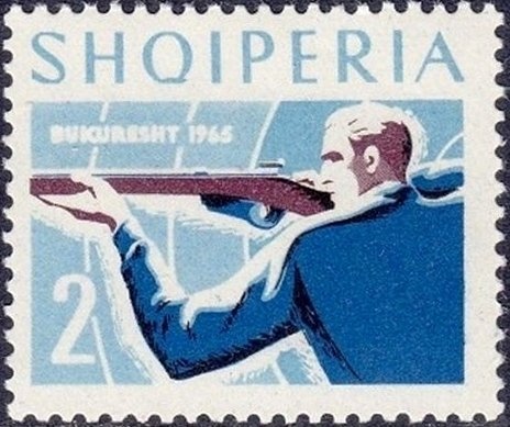 Pine Chafer (Polyphilla fullo)