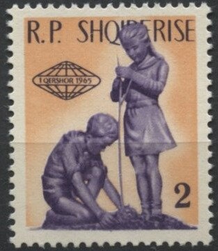 Sheik Rashid and Queen Angelfish (Holacanthus ciliaris)