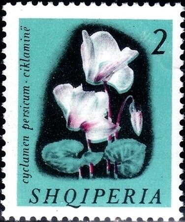 Ferdinand Magellan (c. 1480-1521), Portuguese explorer