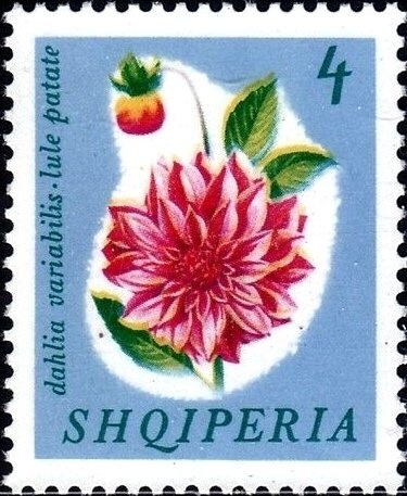 Aleksandër Stavre Drenova (1872-1947), Albanian poet