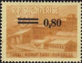 Sheik Rashid and Queen Angelfish (Holacanthus ciliaris)