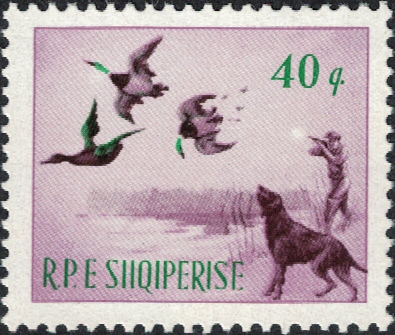 Experimental Space Suit (Mercury Program) - opt new currency