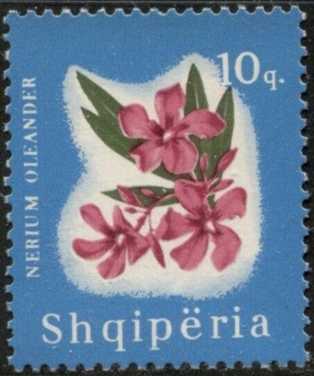 Ahmed Zog Bridge over the Mat