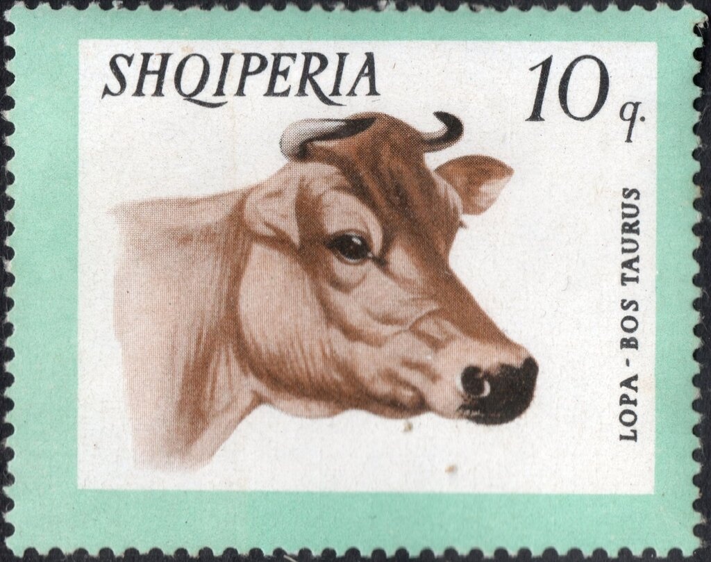 Robert F. Scott (1868-1912), Royal Navy officer and explorer