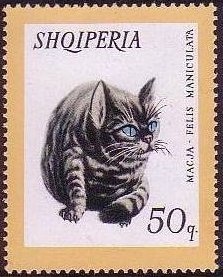 My Darling, by Agim Zajmi