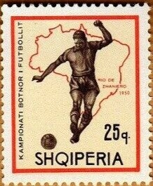 Japanese camellia (Camellia japonica)