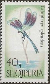 To Work by Agim Zajmi