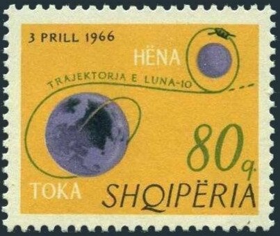 Ring-necked duck (Aythya collaris) - male