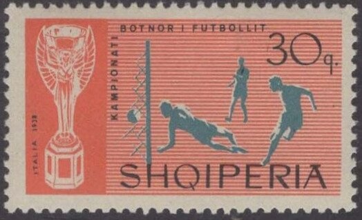 Water Buffalo (Bubalus bubalis)