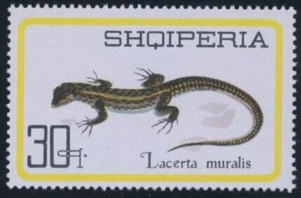 Palmyra (Tadmur) overprinted