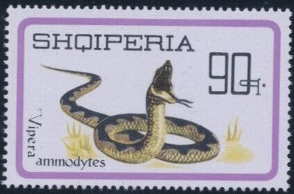 Skanderbeg issue overprinted with Turkish Value