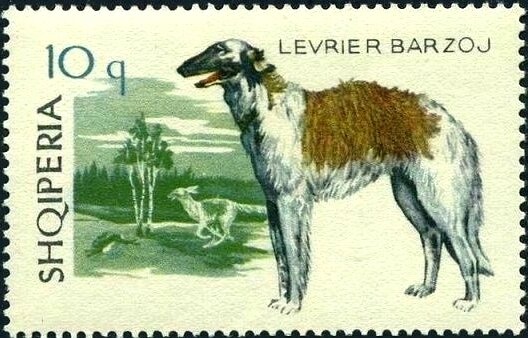 Ruins of the Conference Building