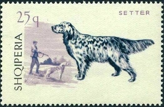 ‭Map, Train and Construction Workers