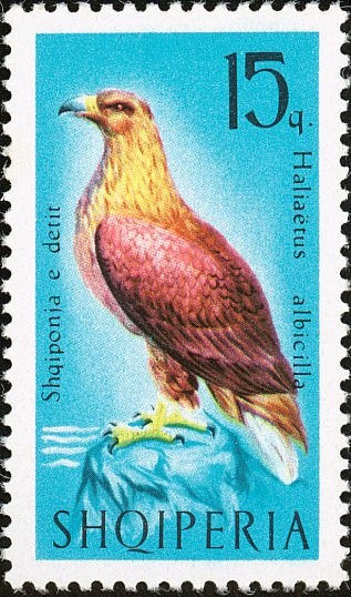 Turkish Stamps with Overprint