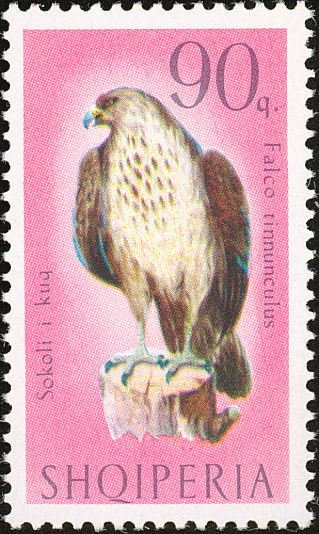 Amphitheater, Buthrotum