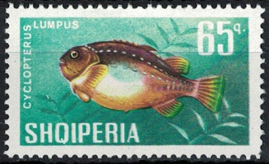 View of Aleppo overprinted