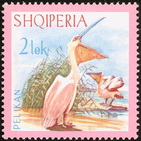 The Discussion at Lezhë, by Bashkim Ahmeti