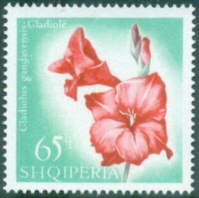 Gemini Space Capsules (Rendezvous) - opt new currency