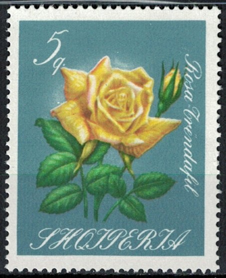 ‭Arms of Republic and Wheat