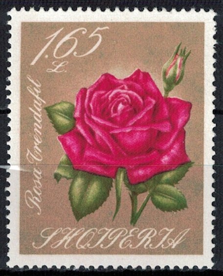 Divjaka-Karavasta National Park