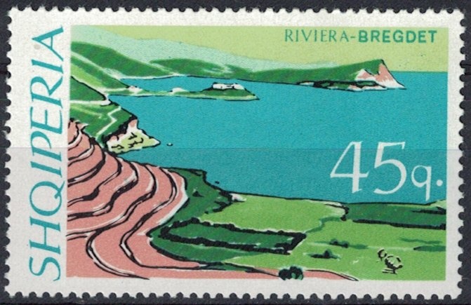 Gentian (Gentiana lutea)