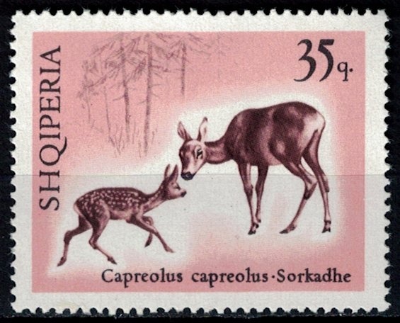 Type Blanc overprinted and Syrian surcharge