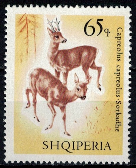 Napoleon at St Bernard