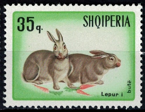 Porto Palermo Castle (19th cent.), Himarë