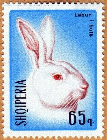 Soldier, gun, barrels