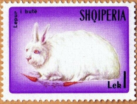 Hawker Siddeley Trident, British European Airways