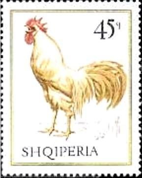 Berat Bridge overprinted in black