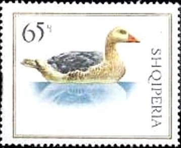 Illyrian War Helmet; Mat