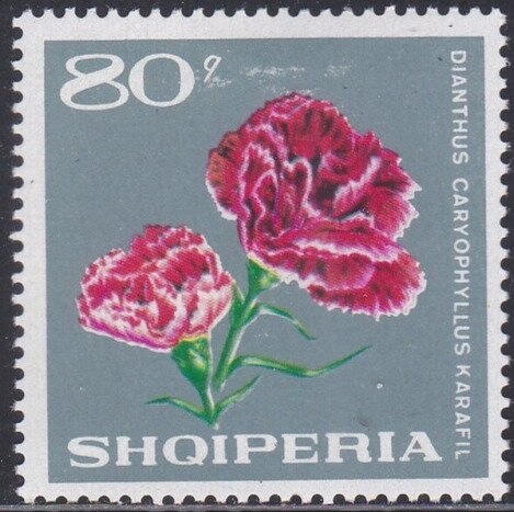 Scenes of the Implementation