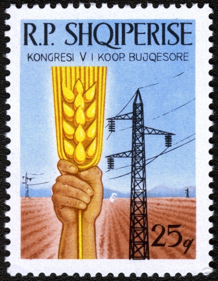 Grey Heron (Ardea cinerea)