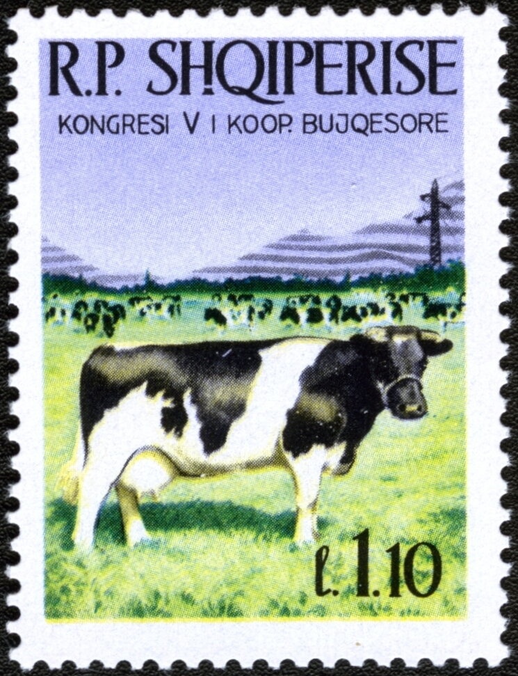 ‭President Ahmed Zogu overprinted in black